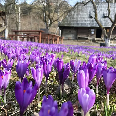 Holiday park Stare Selo