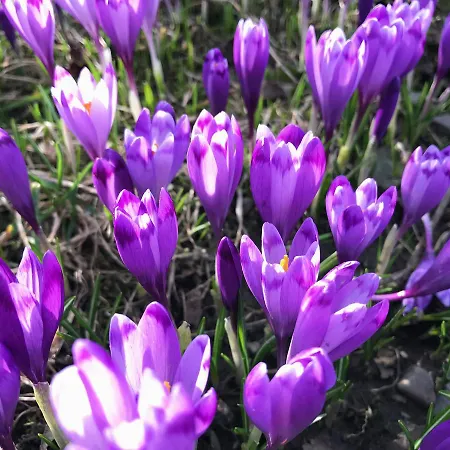 Holiday park Stare Selo