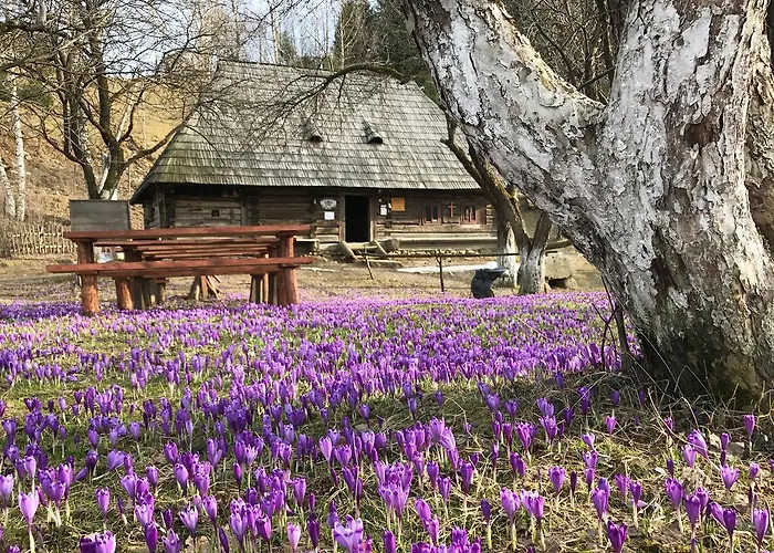Stare Selo Aldeamento Turístico