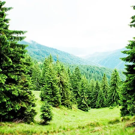 Stare Selo Holiday park