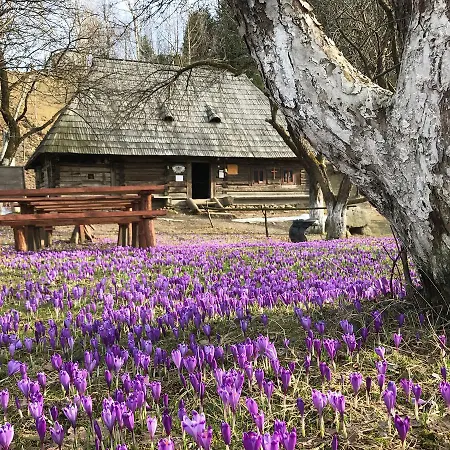 Stare Selo Holiday park